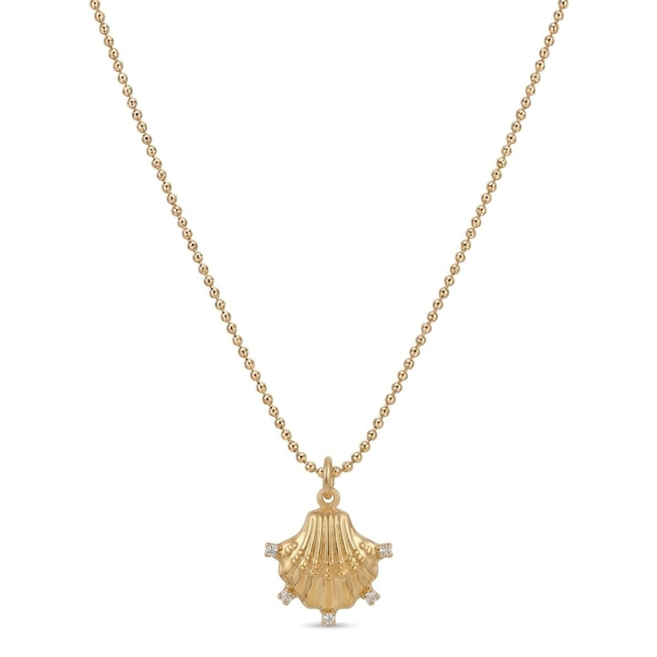 Seashell Micro DT Necklace
