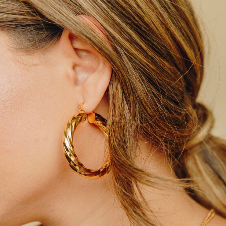 Ash Hoops