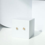NAVI GOLD STAR STUDS